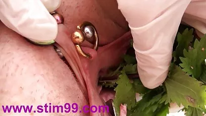 جدید دختر Netty عکس سکسی چاق چله آرام مانند یک گربه به آرامی وارد و حیوانات خانگی
